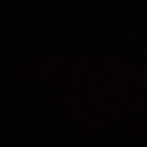 Meet your Posher, Bobby